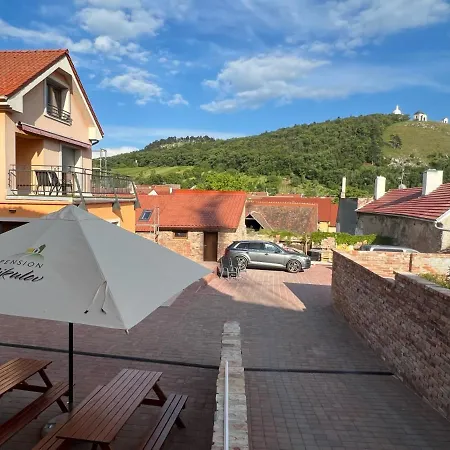 ゲストハウス Pension Mikulov