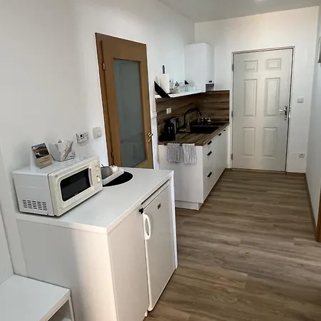 ゲストハウス Pension Mikulov