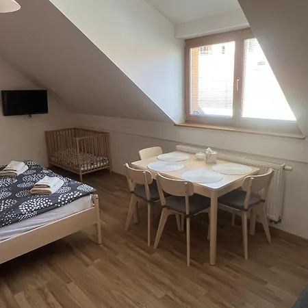 Pension Mikulov 4* ミクロフ